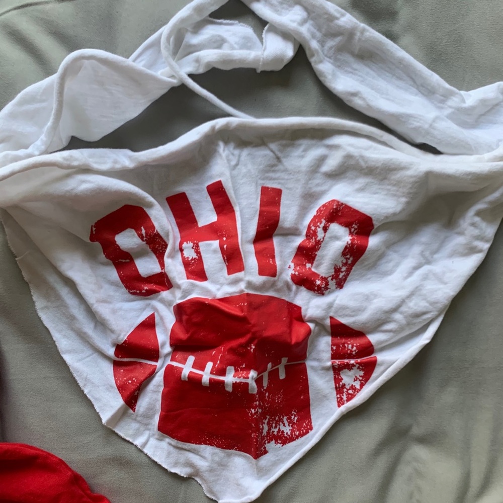 Ohio State triangle crop